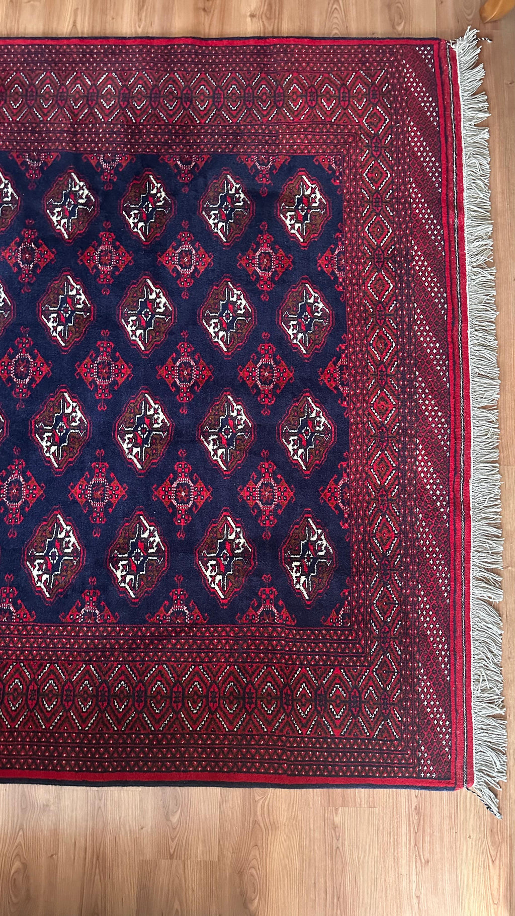 Handwoven Turkmen Rug – 204 x 300 cm | Traditional Burgundy & Navy Area Rug